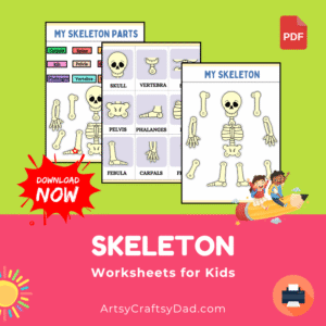 Skeleton Worksheets for Grade 3–5 kids