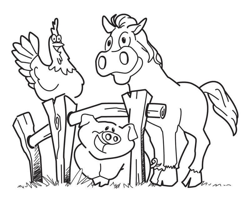 Amazing Domestic Farm Animals - Animal Pictures for Kids to Color at No Cost
