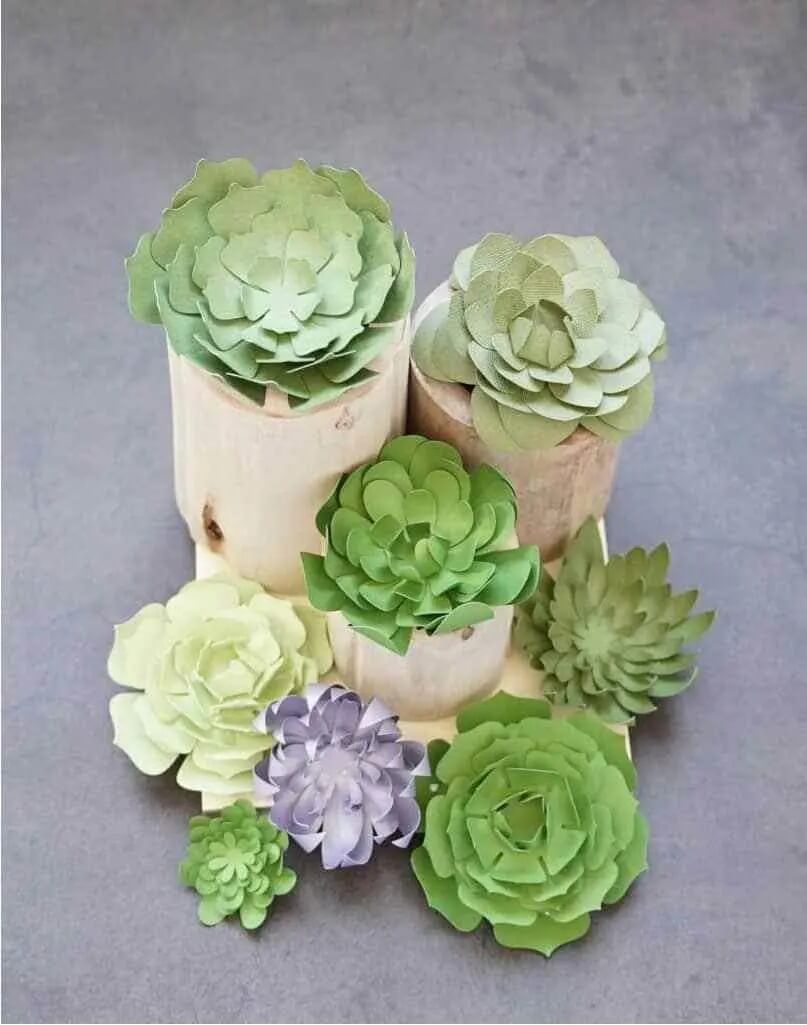 Beautiful Paper Succulent Cactus Flower Craft Template For Adults - Making items from paper for those in their golden years