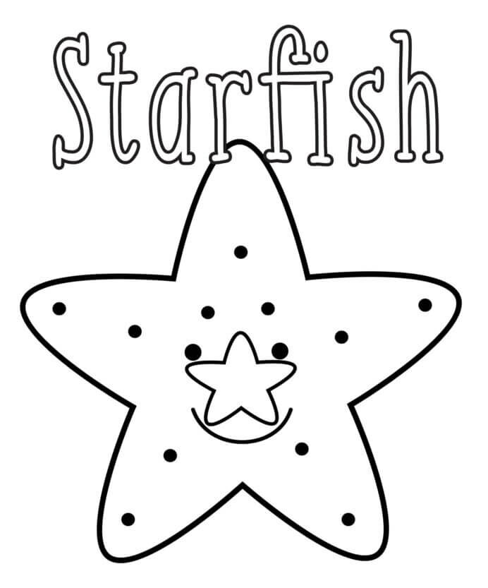 Beautiful Starfish Sea Animal - Children can get free Sea Animal Coloring Pages to print. 