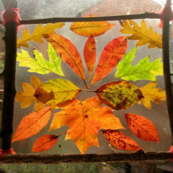 Beautiful Suncatcher Leaf Art & Craft Idea Using Twings & Contact Paper - Leaf-Based Arts and Crafts For 5-7-Year-Olds 