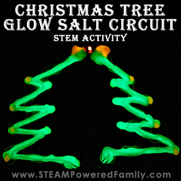 DIY Glow Salt Circuit Stem Activity In Christmas Tree Shaped - Creating a GLOW DAY in the educational setting