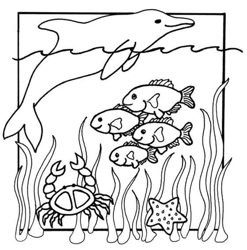 Dolphins, fishes, Star Fish  & Crab - Family Ocean Sea Animals - Sea Animal Coloring Pages can be printed without cost for children.