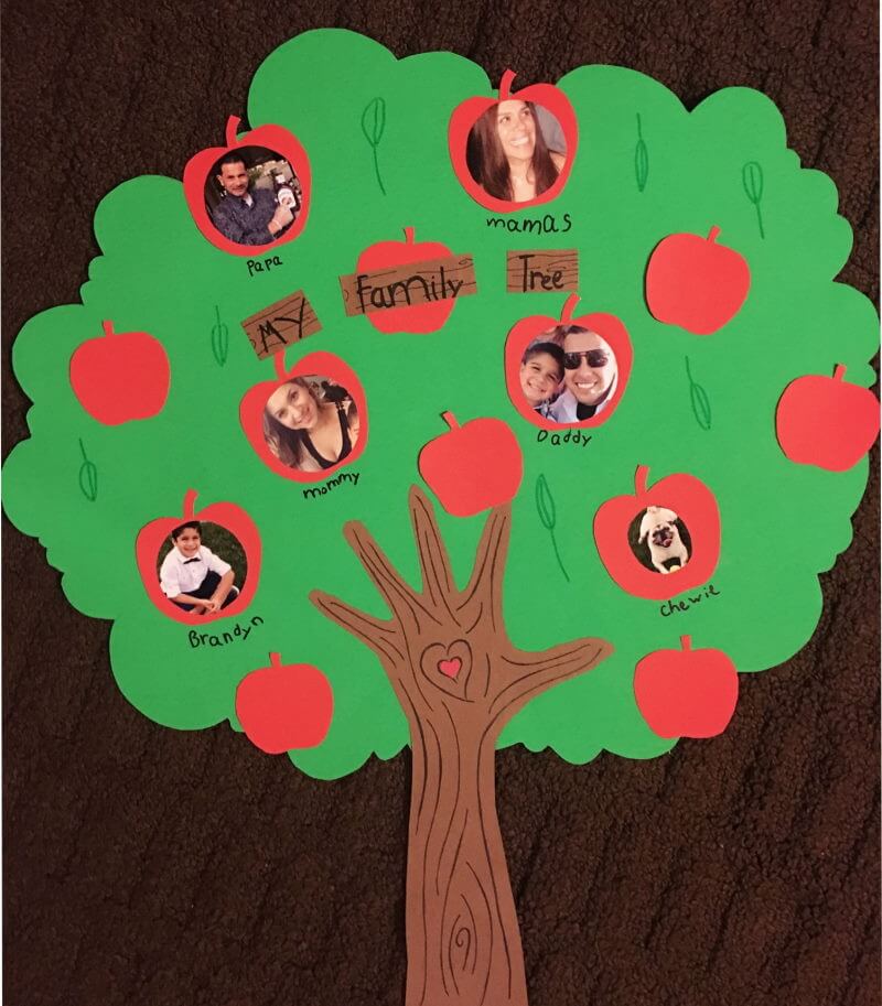 Easy to Make Apple Family Tree Art Idea For School Students - Crafting a Family Tree - Creative Ideas for Kids at School