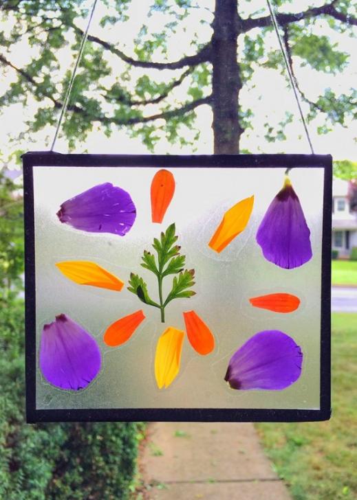 Easy To Make Botanical Sun Catchers Craft With Empty Clear CD Jewel Case & Flower Petals - Creative Pursuits Influenced by Nature for Kids