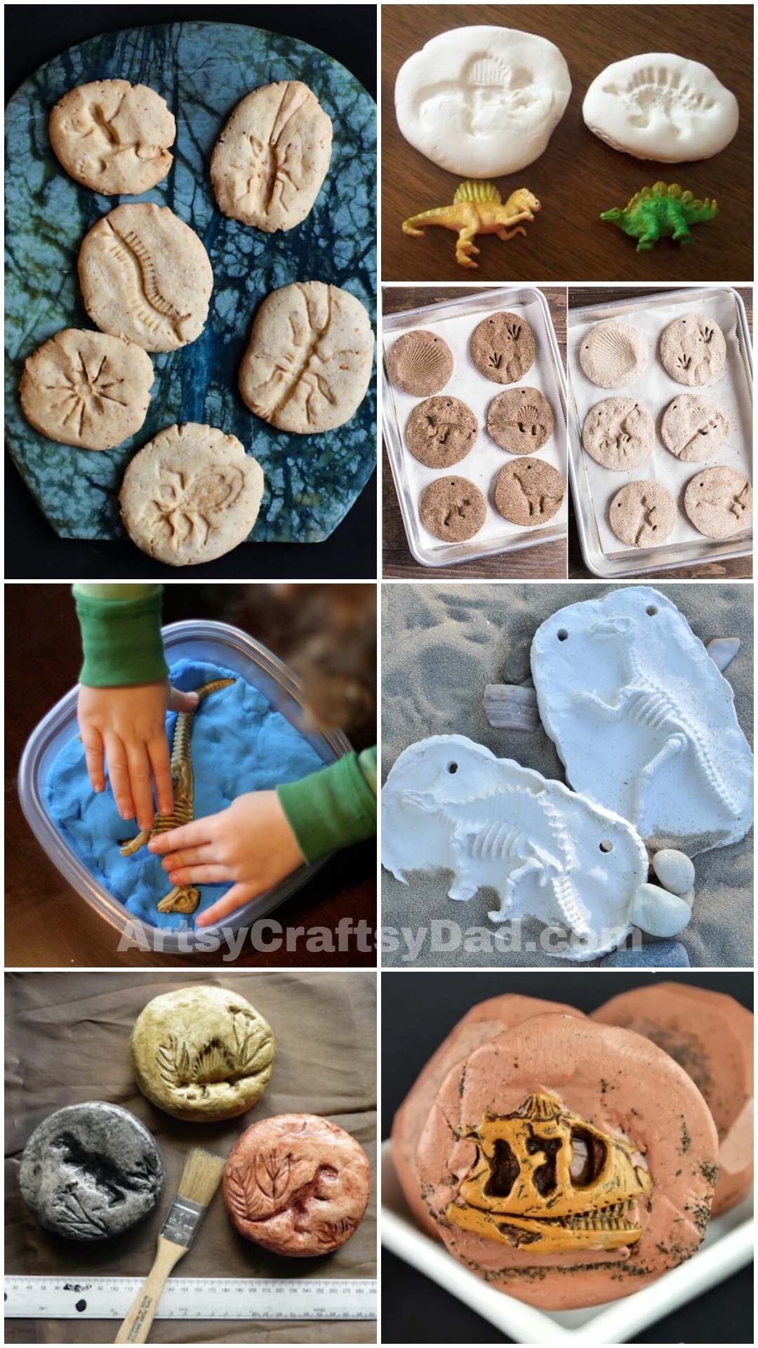 Fun Fossil Activities for Kids