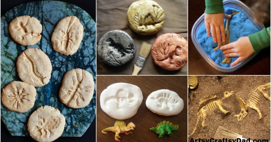 Fun Fossil Activities for Kids