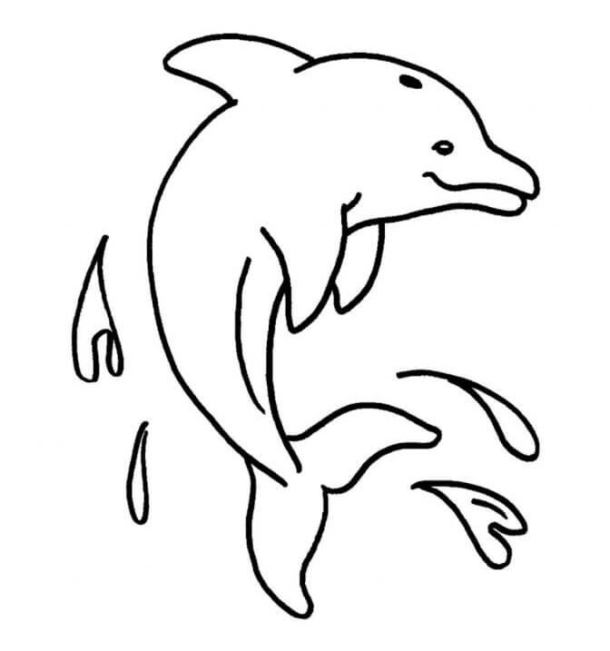 Fun Friendly Dolphin Sea Animal - Sea Animal Coloring Pages can be printed off at no cost for youngsters.