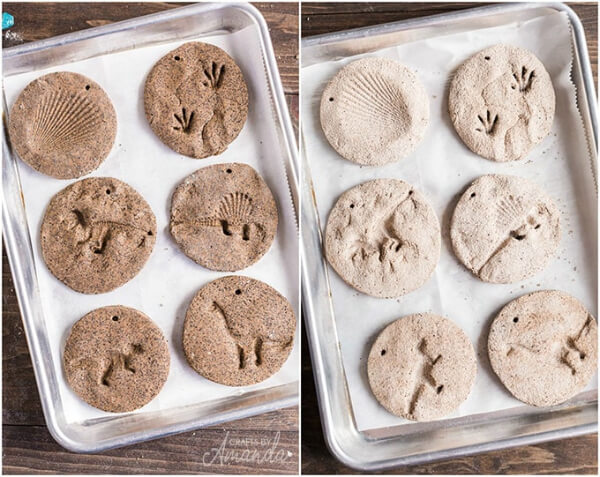 Handmade Coffee Ground Fossils Craft Project For Kids - Enjoyable Primitive Pursuits for Kids