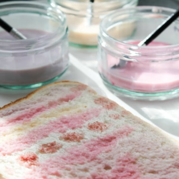How To Make Painted Tost Activity On Bread - Unique Combinations of Paints for Youngsters 