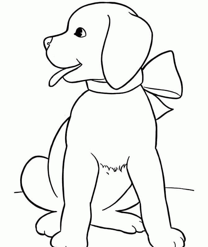 Intelligent & Loyal Dog Animal - Free Animal Coloring Pictures for Kids