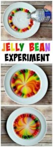 Jelly Bean Science Experiment Activity For Kids