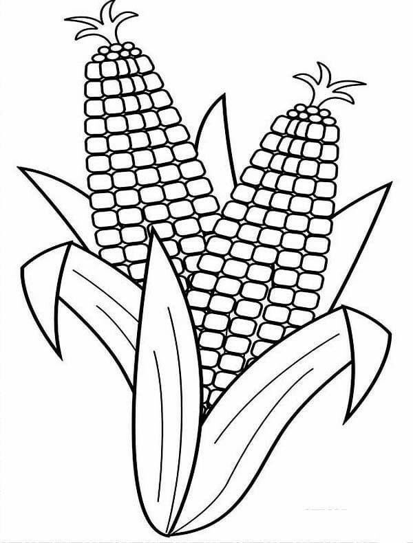 Maze Vegetable  Contain With High Fibre & Vitamin B - Printable Coloring Sheets with Vegetables 
