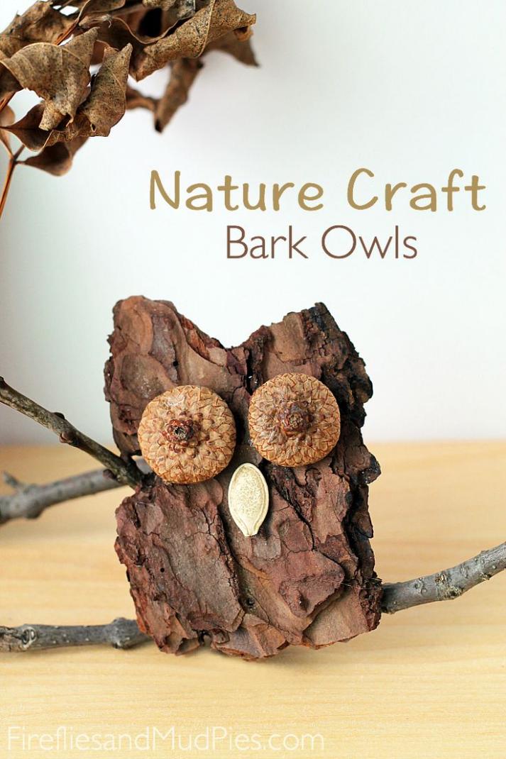 Awesome Bark Owl Nature Craft Activity For Home Decor- Creative Projects Influenced by Nature for Children 