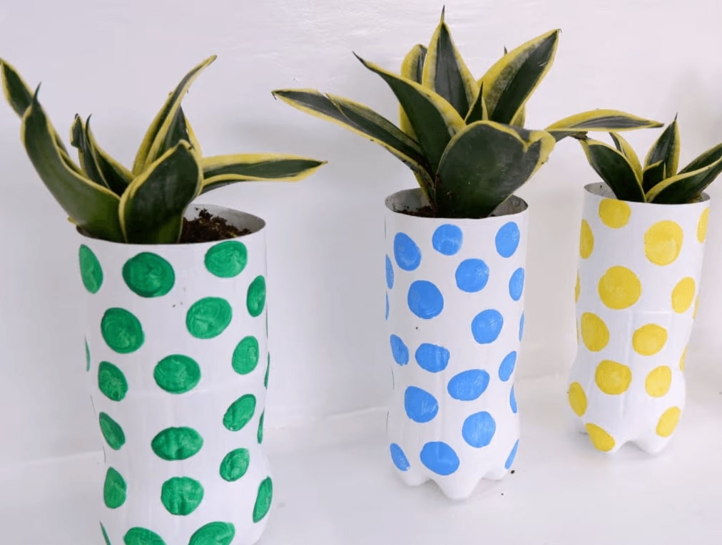 Recycled Plastic Bottle Planters Decoration Craft With Polka Dot Using Snake Plants - Artistic approaches for adorning containers.