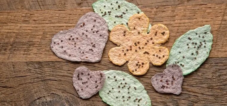Recycled Seed Craft On Different Paper Shapes Using a Cookie Cutter - Working with paper for the elderly population