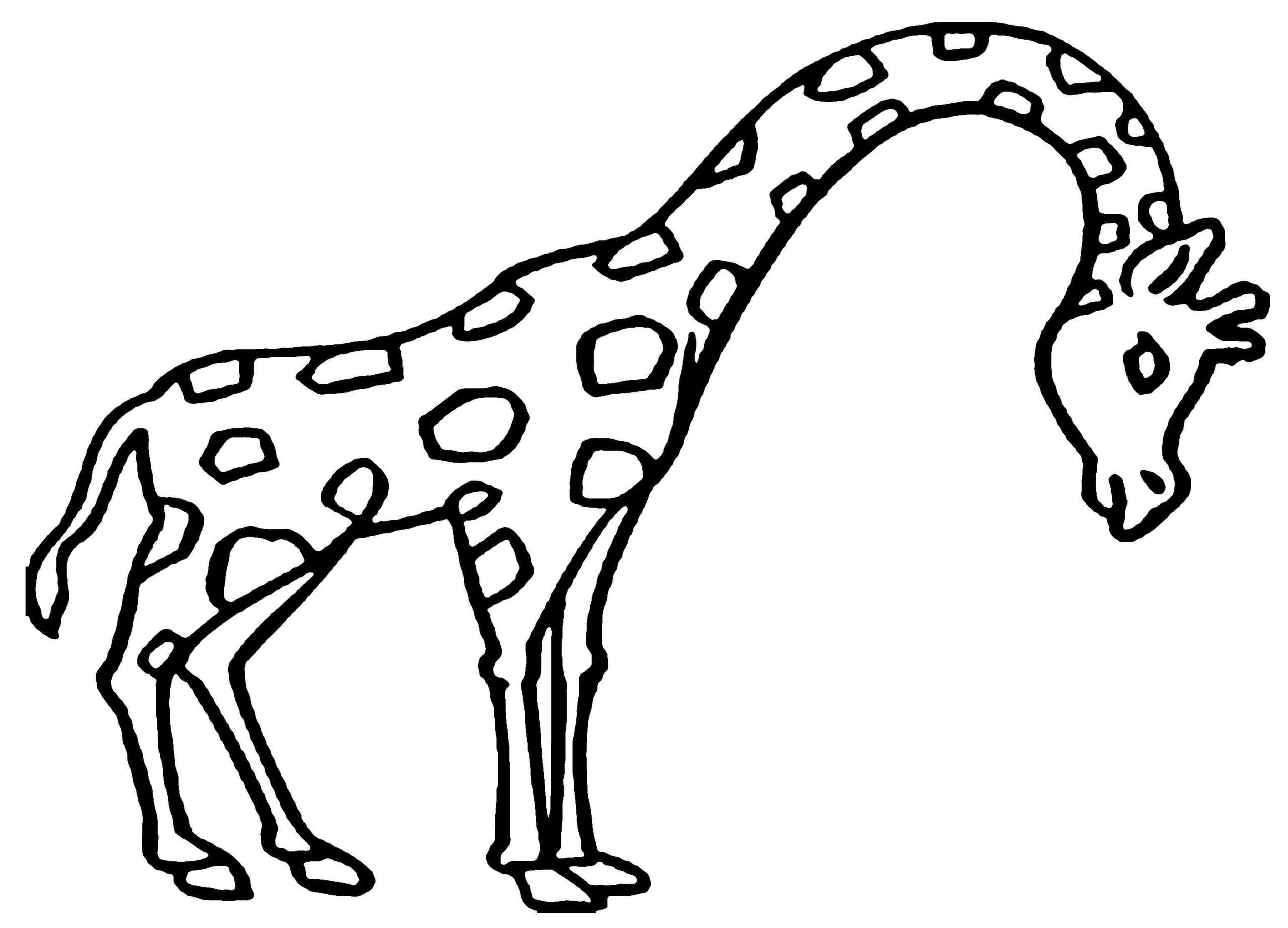 Tall Giraffe Mammal Zoo Animal - Animal Coloring Sheets to Print for Free