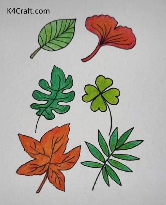 Different Types of Leaves Drawing Art Idea To Make At Home - How to Create Art for Little Ones - Blooms and Beasties