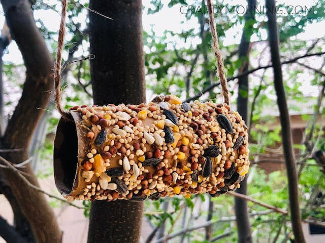 Easy to Make Cardboard Tube Bird Feeder Craft For Outdoor - Producing Parrot Projects With Cardboard