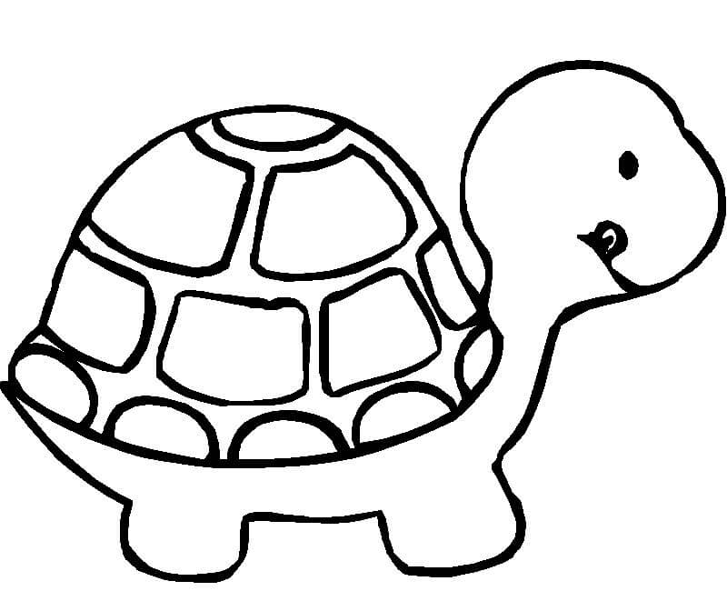 Handmade Turtle Animal Drawing Idea To Make At Home - Colouring sheets with animals for kids to draw