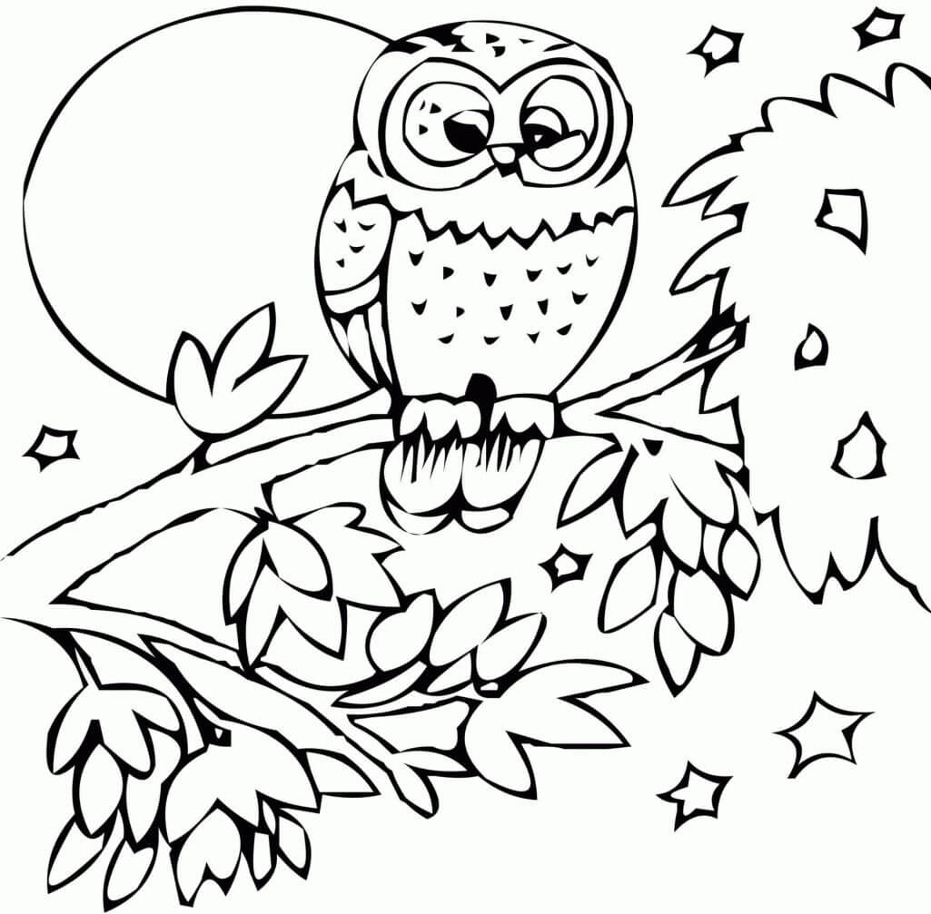 How To Draw & Color Night Owl - Animal art and coloring sheets for little ones 