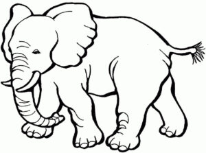 Lovely Mumma Elephant Art Idea Using Color