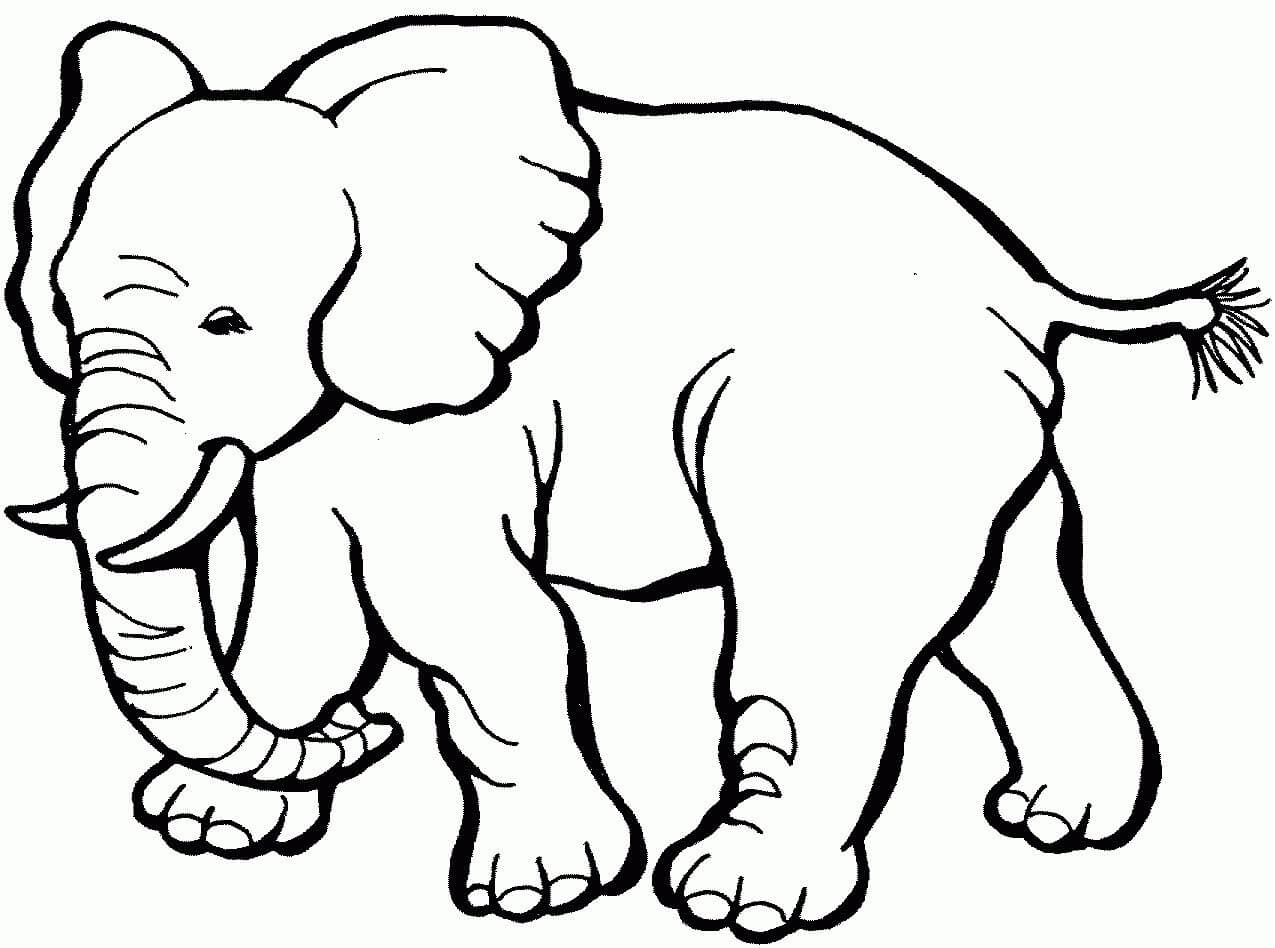 Lovely Mumma Elephant Art Idea Using Color - Animal designs for children to colour in