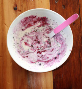 Simple Probiotics Rich Food Meal Recipe For Kids