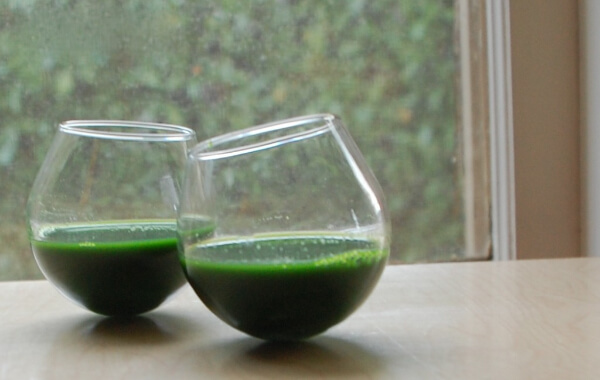 Summer Wheatgrass Juice Drinks Recipe For Mom To Make - Crafting Sweet Treats and Drinks With Little Ones
