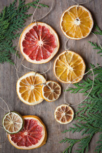 Unique Citrus Wheel Ornaments Craft Project For Home Decor