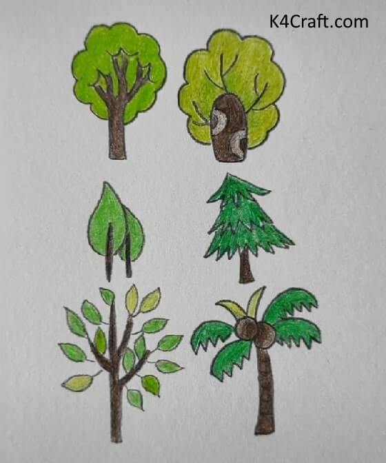 Set of different trees. Sketch style, contours... - Stock Illustration  [61532096] - PIXTA