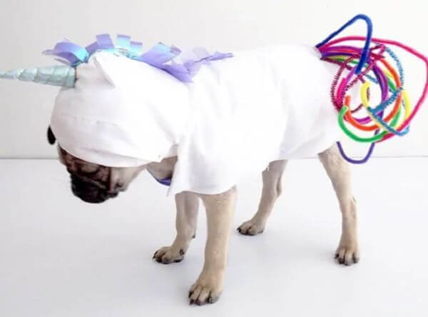 How To Make A Beautiful Unicorn Costume For Your Dog