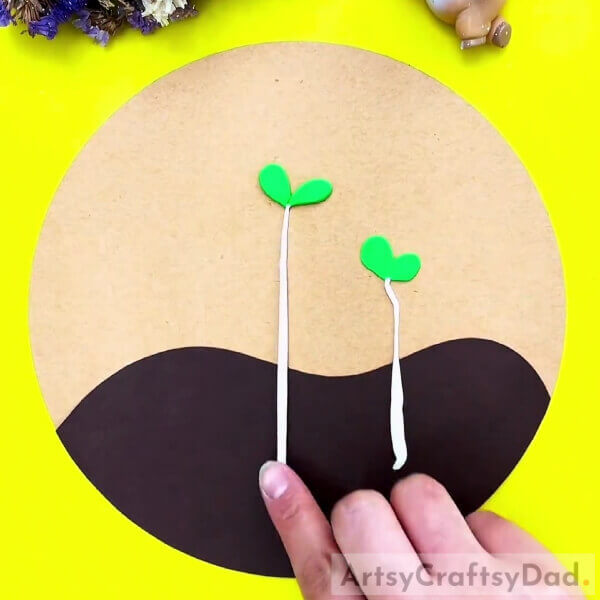 Making The Stem Of Other Leaf-Directions on How Kids Can Germinate Seeds Using Clay