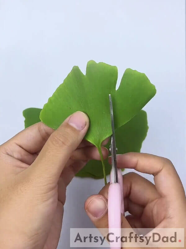Cutting One Ginkgo Leaf To Create A Dress- Tutorial For Crafting An Adorable Leaf Dress For Kids