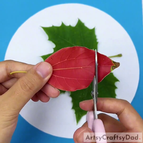 Cutting Red And Yellow Color Leaves Into Circle Shape- Artistic Ladybugs on Leaves Guide