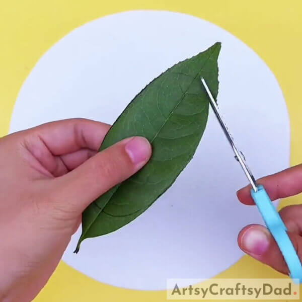 Making A Lotus Leaf- Leaf frogs swimming in a pond-inspired design tutorial for children.