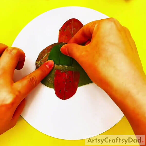 Making A Window - How to Create a Leafy Aircraft with Kids