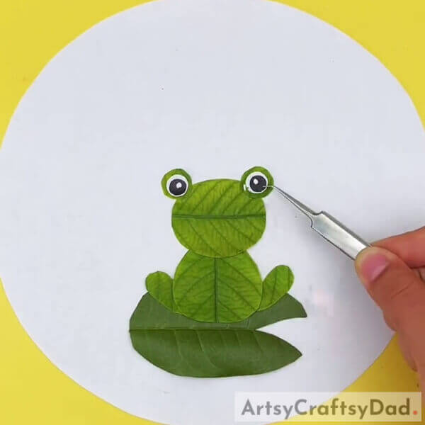 Making Eyes Of The Frog- Tutorial for children to make a leaf frog pond environment.