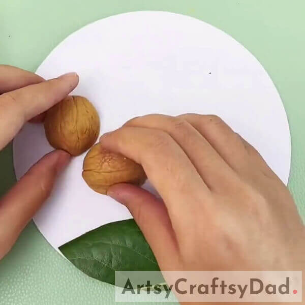 Pasting Apricot Shells- Learn How to Make a Deer Scene with Walnut Shells and Leaves