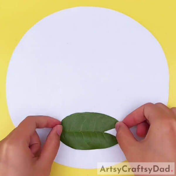 Pasting The Lotus Leaf- Tutorial for kids to create a leaf frog pond scene.