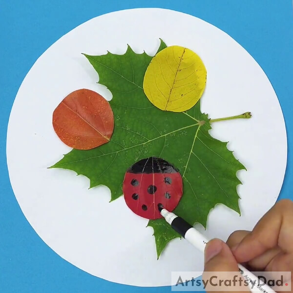 Putting Dots On Red Leaf Using Black Marker- Ladybugs and Leaves How-To 
