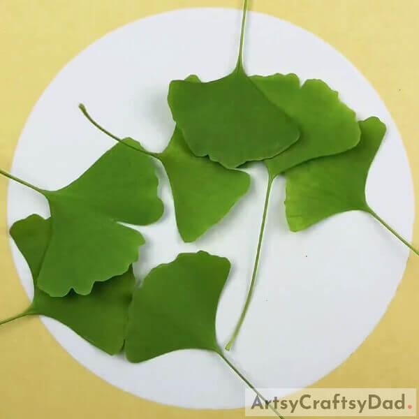 Collect Some Fan Shaped Leaves- Tutorial on How to Create a Fish Made out of Leaves While Underwater