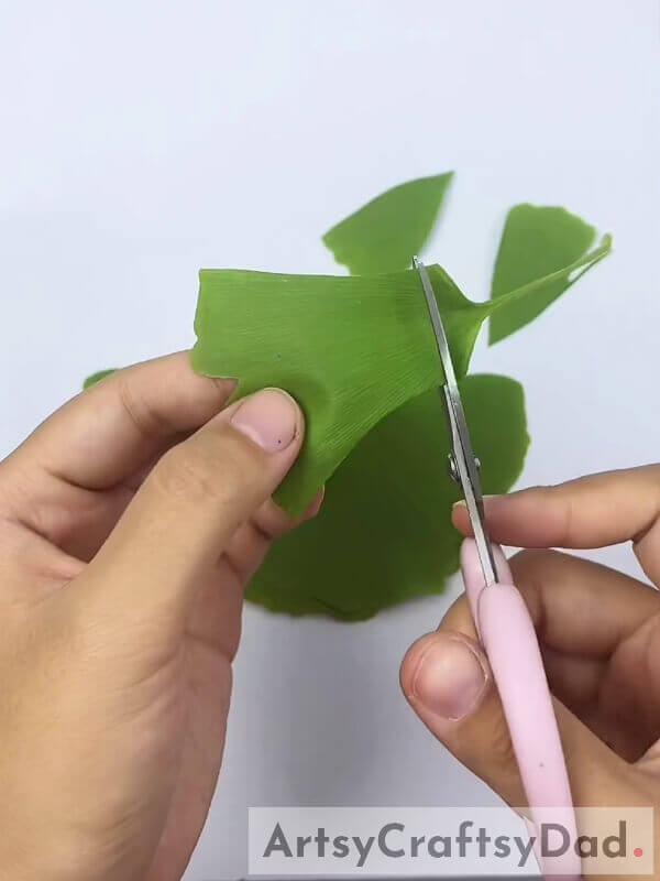Cutting A Straight Line Above The Leaf Stem- Making A Pretty Leaf Dress For Tiny Tots