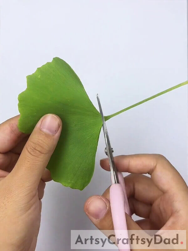 Cutting Ginkgo Leaves Stem- Crafting Guide For Creating Lovely Outfits For Little Girls