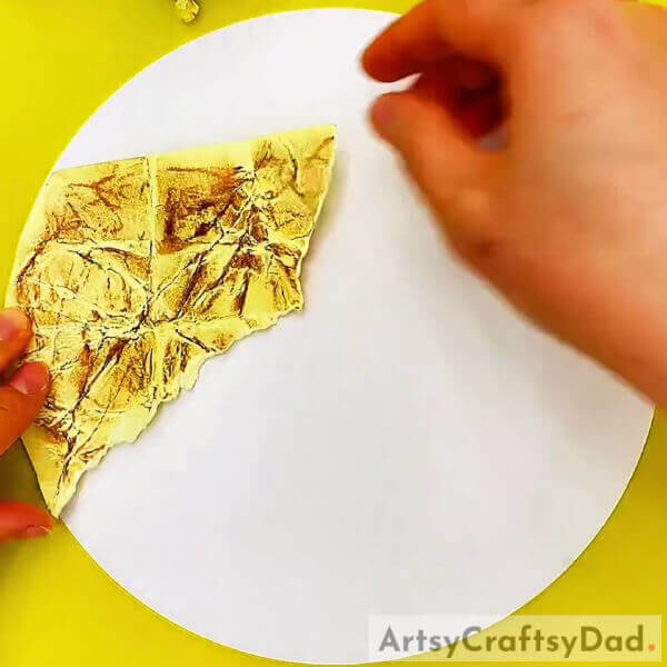 Paste It Along The Circumference Of A White Sheet- Assembling an Apparent Ant in Soil Cavities