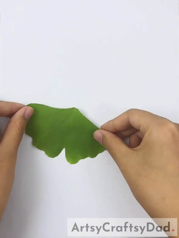 Pasting Our Ginkgo Leaves On Craft Paper- Step-by-Step Directions For Making An Attractive Garment From Leaves For Youngsters