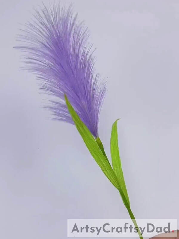 Complete your First Pampas Plant - Instructions on Making Purple Ribbon Pampas