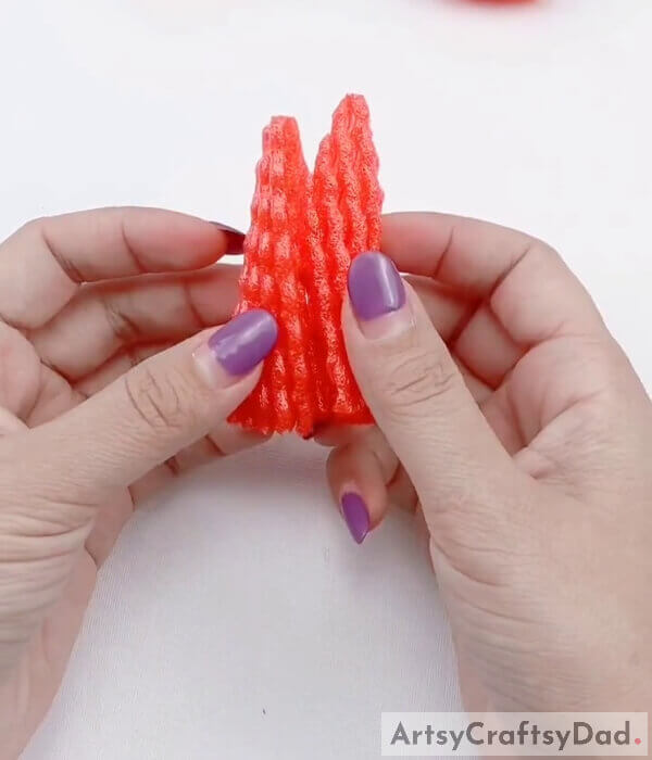 Wrap it within itself - Explaining the Process of Creating a Net with Strawberries