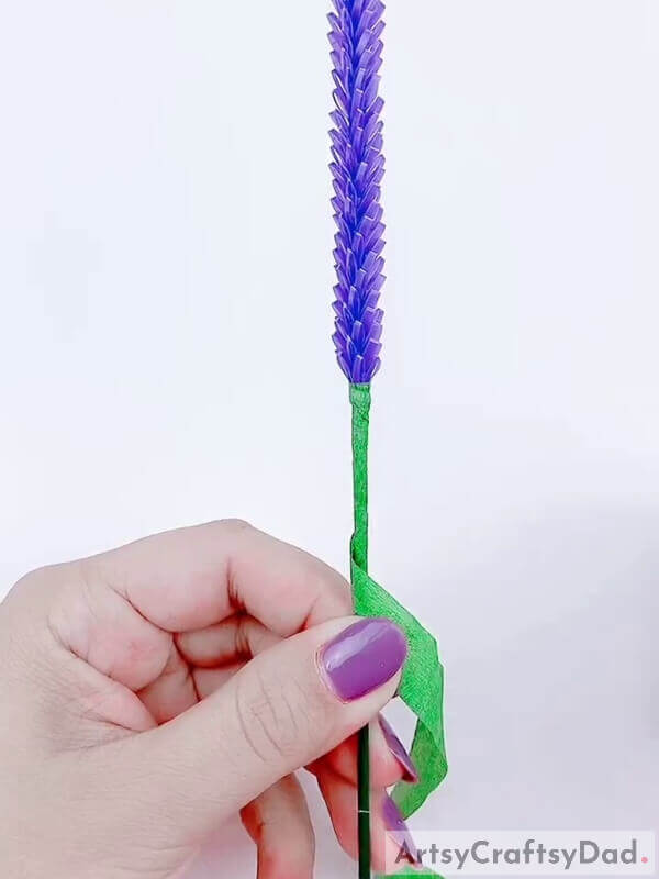 Wrap the light green colored ribbon around the stick - Building a Plastic Straw and Lavender Flower