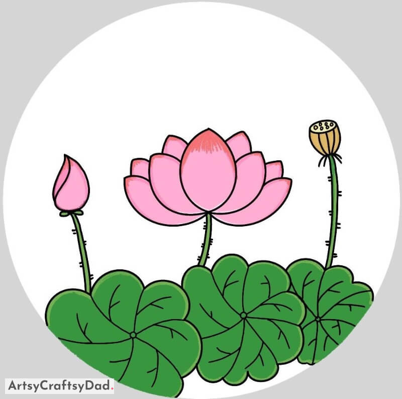 Adorable Lotus Flower Drawing Idea - Multicoloured Paintings for 10-15 year olds 